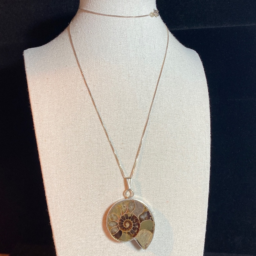 Sterling Silver Ammonite Fossil Pendant with 24” Sterling Chain Necklace